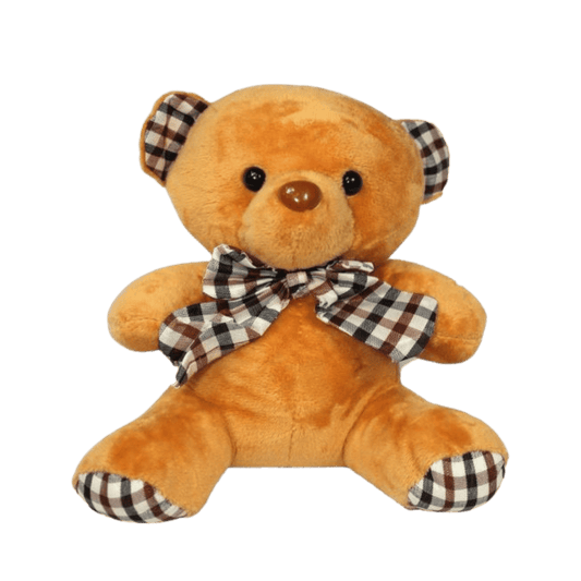 Teddy Bear Plush - 23cm