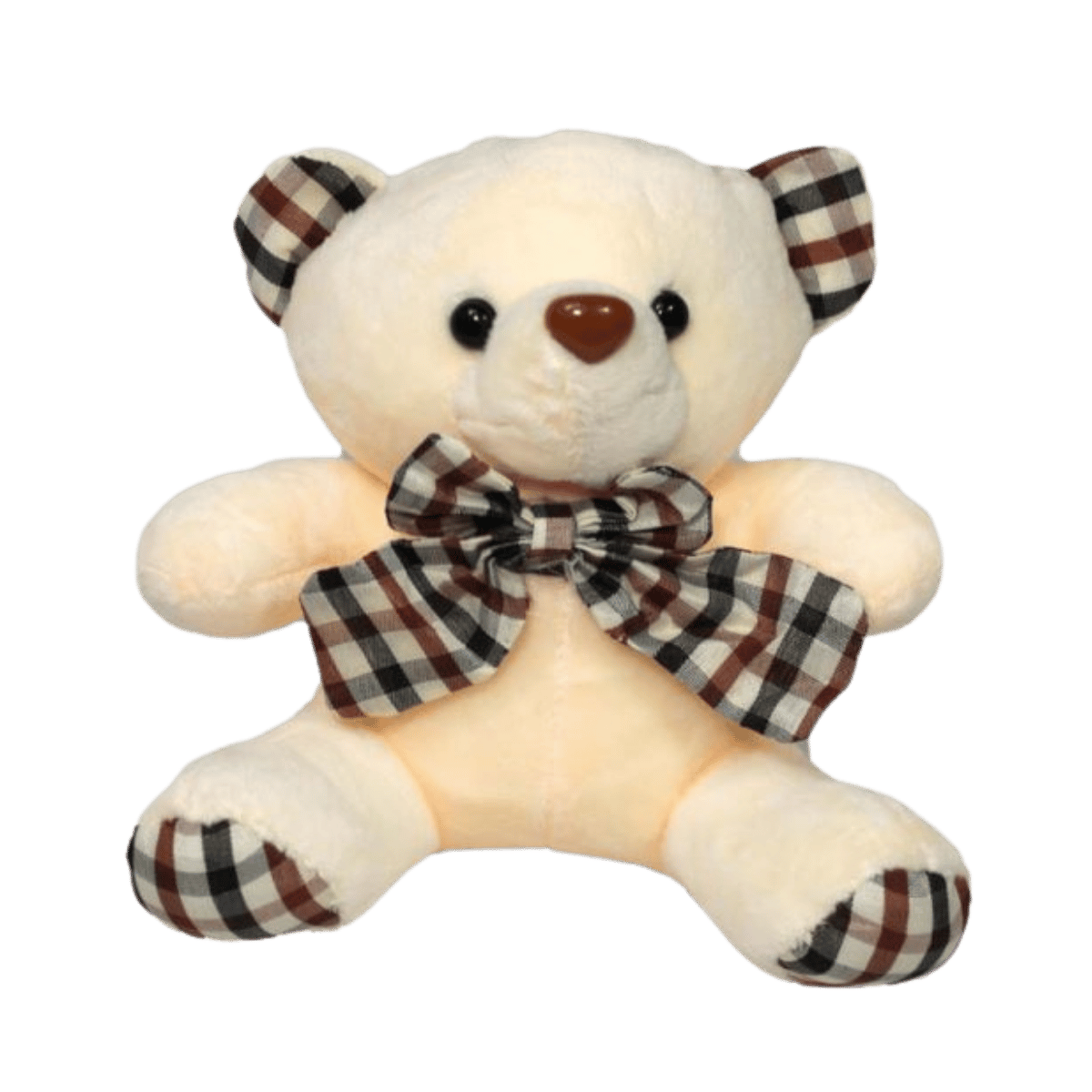 Teddy Bear Plush - 23cm