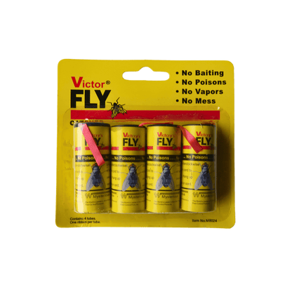 Fly Catcher